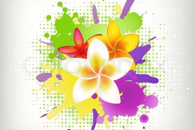 Backgrounds With Plumeria And Blots, Vector Illustration