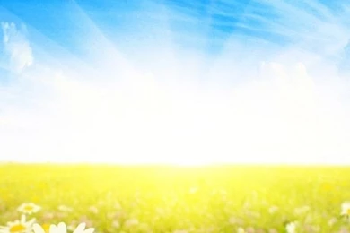 Mobile Nature Wallpapers