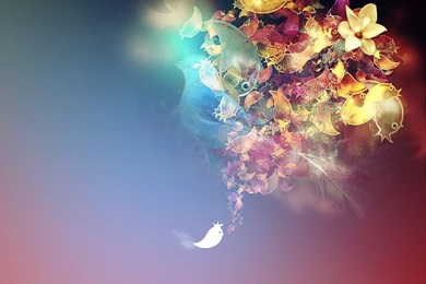 Internet Explorer Wallpapers   Download   4shared