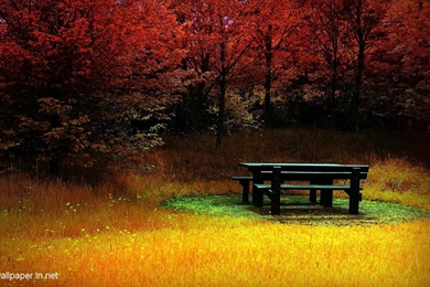 Nature Wallpapers HD For Mobile F2T5Y   HD Wallpapers Desktop Backgrounds