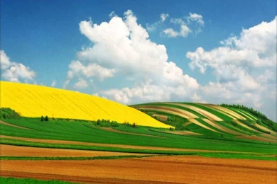 Download Mobile Wallpaper: Landscape, Nature, Fields, Sky, Clouds ...