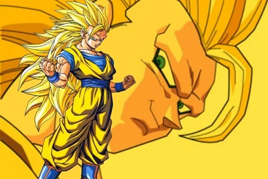 DRAGON BALL Z COOL PICS: GOKU SUPER SAIYAN 3