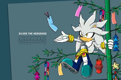 Sonic The Hedgehog Computer Wallpapers, Desktop Backgrounds ...
