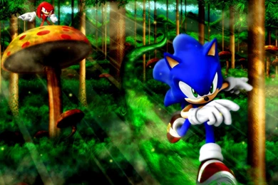 New Sonic The Hedgehog HD Wallpapers   All HD Wallpapers