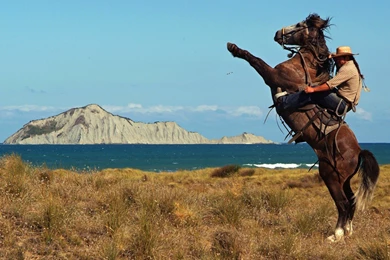 HD Cowboy Wallpapers And Photos