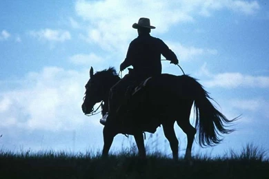 Wallpapers Worcs Cowboy At Work Horse 1024x768