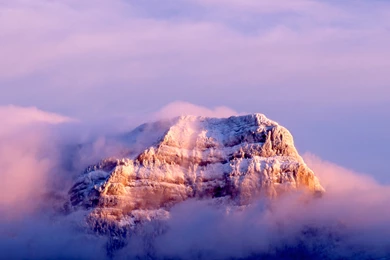 Artistic Snow Leopard Wallpapers   Apple Scene   Apps, IPhone, Mac ...