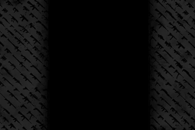 Wallpapers Rogue Status Guns The Free Black 1024x768