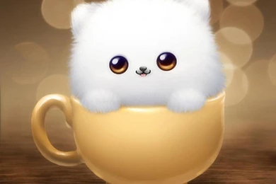 Cute Wallpapers HD Background Images