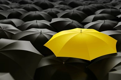 Innovations, Umbrellas, Yellow Umbrella, Black Umbrellas ...