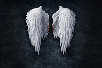 Angel Wings Backgrounds   Wallpapers Cave