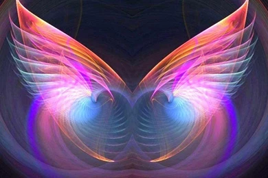 Angel Wings   (