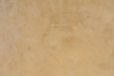 Interior: Vasari Plaster