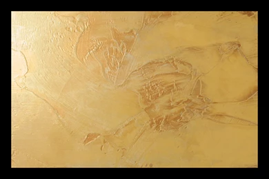 Interior: Vasari Plaster