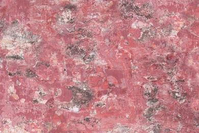 Baroque Red Concrete & Plaster Effect Wallpapers Full Screen