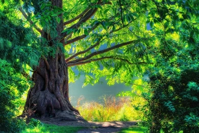 Very Beautiful Wallpapers   HD Wallpapers And Pictures