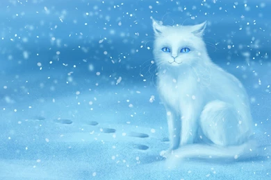 SuperHD.pics: White Cat In Winter Animals Digital Art Fantasy Snow ...