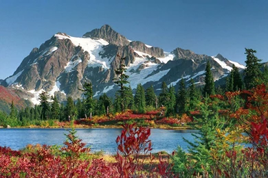 Very Beautiful Nature Wallpapers Download