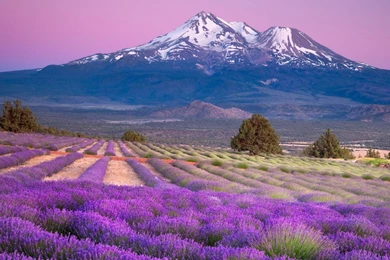 Download HTC One X+ Stock Wallpapers Android Wallpapers Central