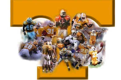 Vols