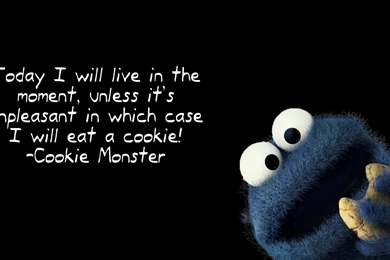 Funny Wallpapers New Year 2012 45329 Desktop Wallpapers