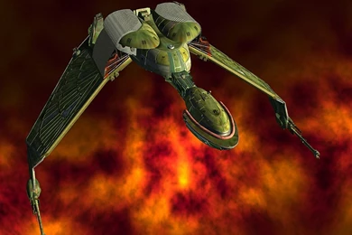 Top Wildlife Bird Prey Wallpapers Wallpapers