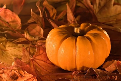 Download Free Thanksgiving PowerPoint Backgrounds