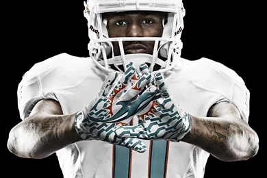 Miami Dolphins Wallpapers 2014