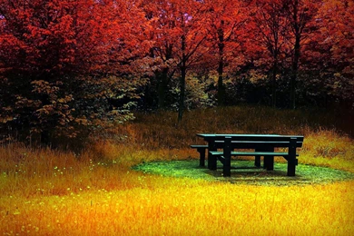 HD Desktop Wallpapers: HD Nature Wallpapers