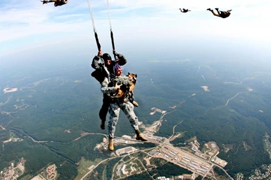Soldiers Parachuting Airborne Operators