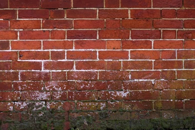 The Old Brick Wall » Patterns » OldtimeWallpapers.com   Antique ...
