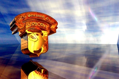 101st Airborne 17038   Soldiers Military Wallpapers