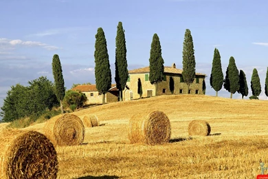 Superb Golden Nature View Wallpapers – HD Wallpapers Free Download