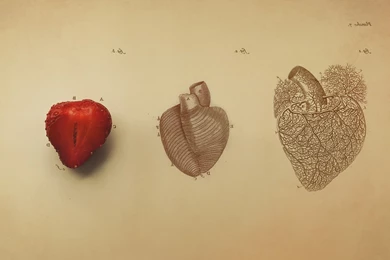 Digital Art, Minimalism, Simple, Simple Background, Organs, Hearts ...