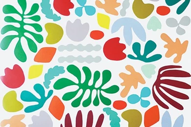 Matisse Is My Muse Wallpapers