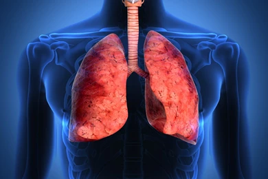 Medicine Wallpapers Archives Wallpapers HD Free Wallpapers In All ...