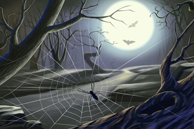 Free Spider Wallpapers   Wallpapers Cave