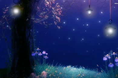 Nighttime Wallpapers   Wallpapers Cave