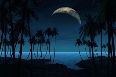 Night Time Paradise Moon Picture And Wallpapers