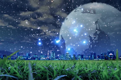 1920x1080 Grass Night Scene Desktop PC And Mac Wallpapers