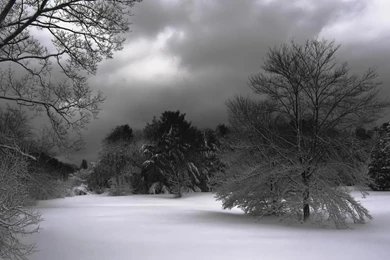 Gallery For > Winter Night Wallpapers