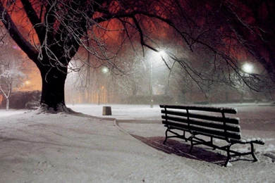 Winter Night Wallpapers   (