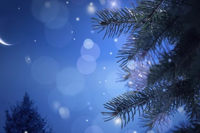 Calm Winter Night >> HD Wallpaper, Get It Now!