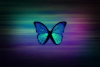 Cute Girly Desktop Wallpapers New 2016 Best High Resolution
