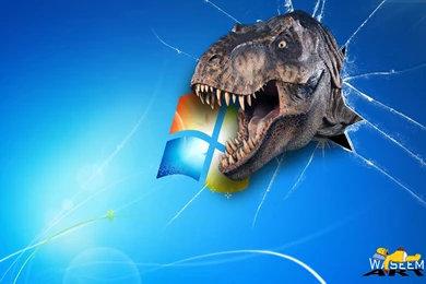 Windows Xp Microsoft Vista 98 Xp tan