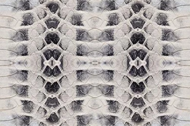 GALL 'Snake Skin' iPhone Wallpapers (HD)