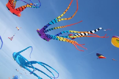 Makar Sankranti Wallpapers