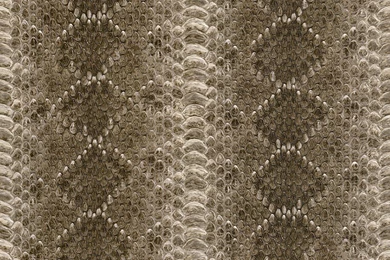 Non woven Wallpapers Beige Brown Snake Skin Optics Rasch African ...