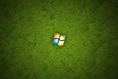 HD Wallpapers For Windows