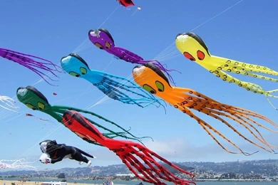 Festival Of Kites Wallpapers   Android Apps And Tests   AndroidPIT